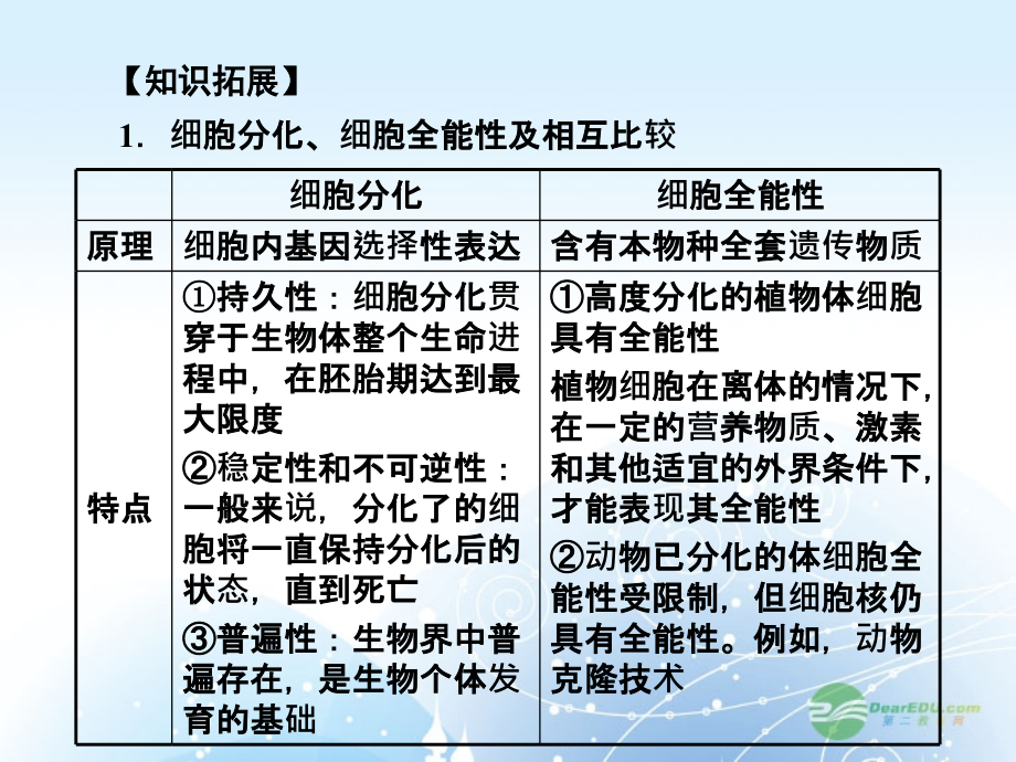 2013高考生物第一轮总复习 5.23细胞的分化、衰老和凋亡、癌变课件 新人教版必修1_第4页