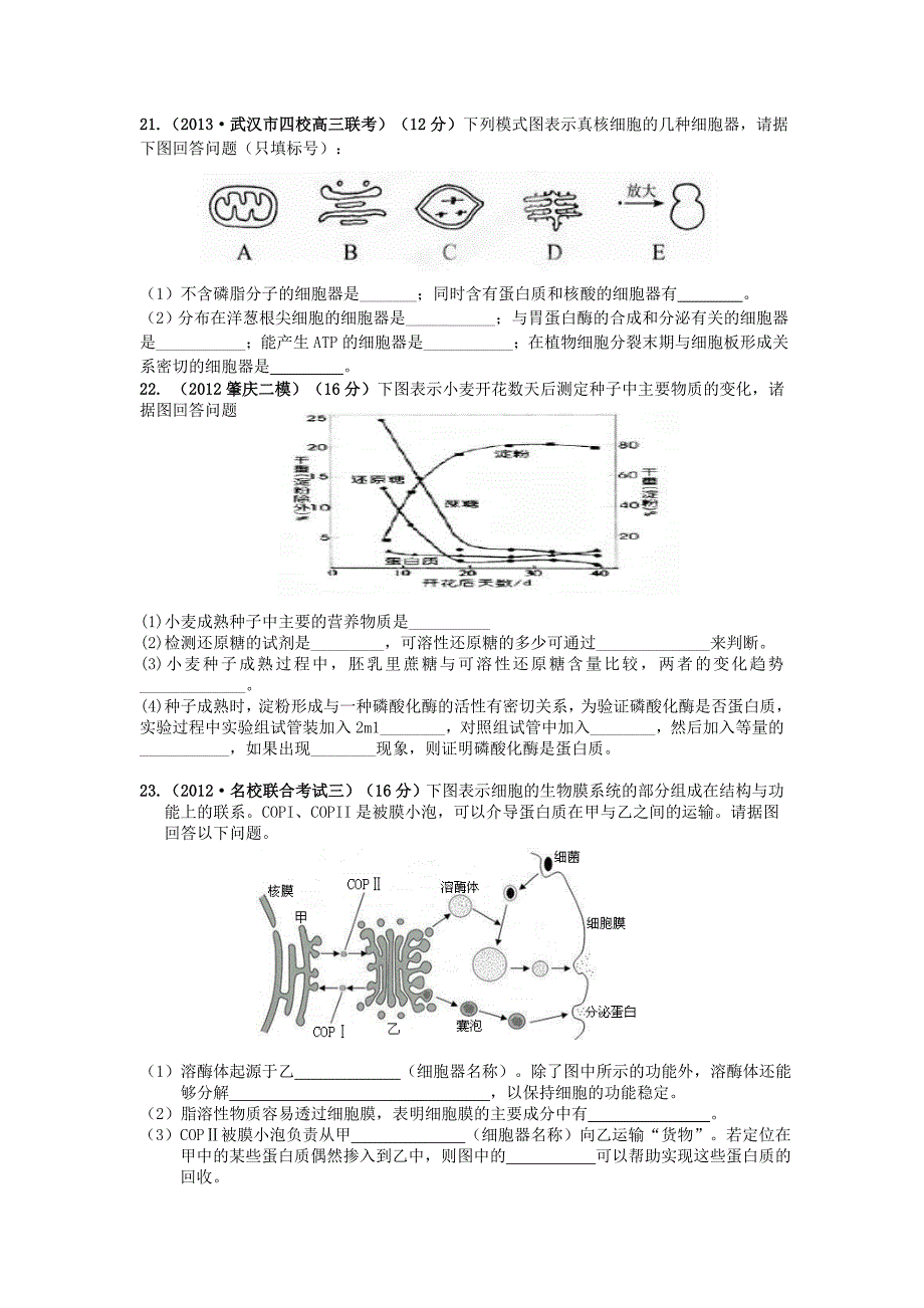 （新课标地区）2014届高三生物上学期月考一（a卷）（含解析）_第4页