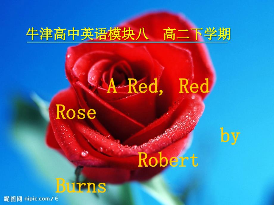 a_red_red_rose_---诗歌欣赏.pptx_第1页