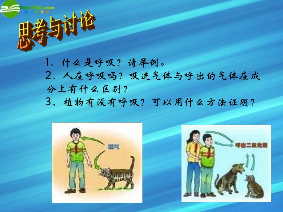 八年级科学上册 植物体内有机物的制造和分解、利用（二）呼吸作用课件 华师大版_第3页