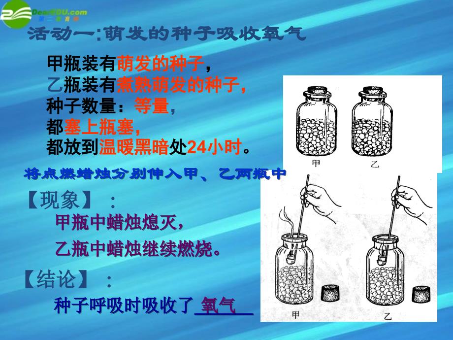 八年级科学上册 植物体内有机物的制造和分解、利用（二）呼吸作用课件 华师大版_第4页