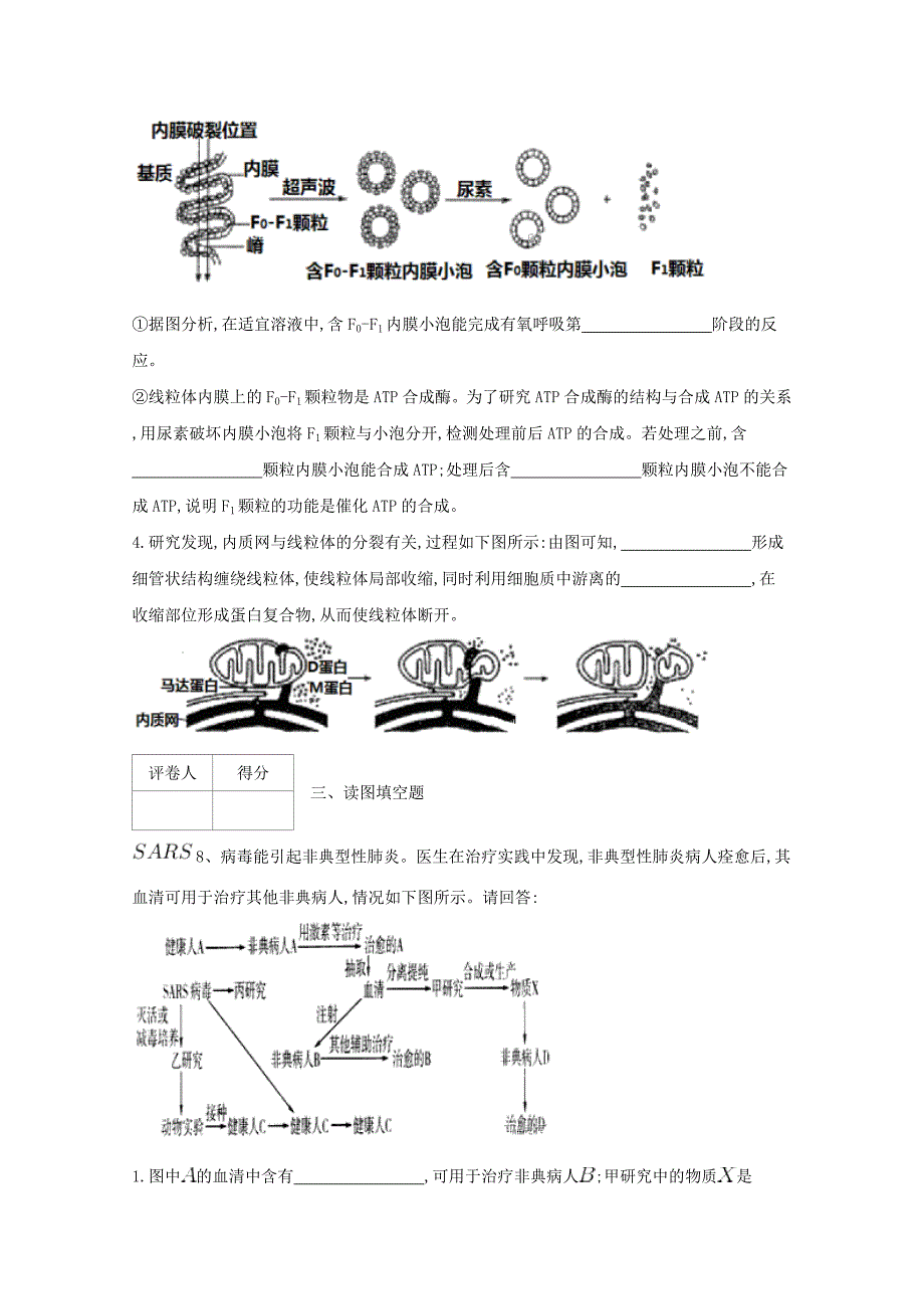 河北省鸡泽县第一中学2018届高考生物冲刺60天精品模拟卷六_第4页