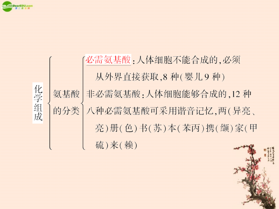 2012新课标高考生物总复习 1-3 生命活动的主要承担者——蛋白质课件_第4页