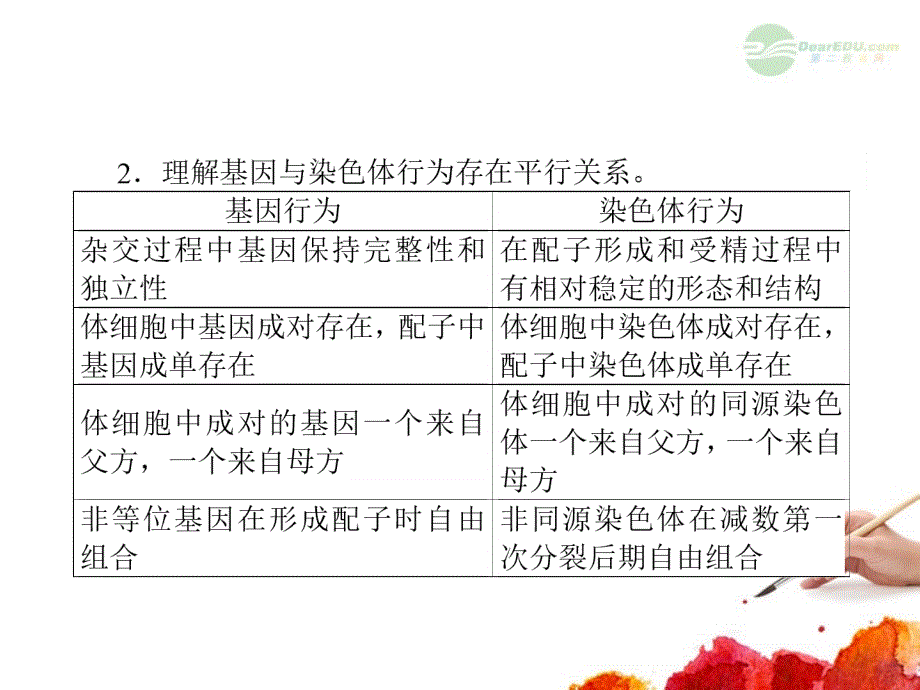 2013届高考生物一轮复习 2.2基因在染色体上和伴性遗传课件 新人教版必修2_第3页