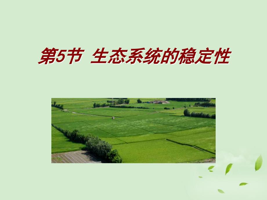 山东省2018高中生物备课资料 《生态系统的稳定性》课件 新人教版必修3_第1页