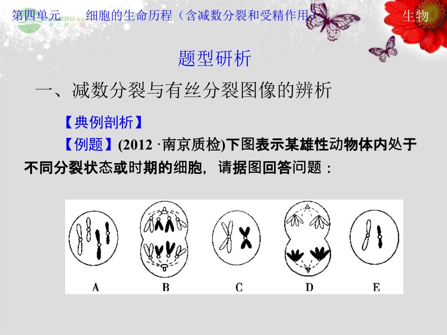 2013高考生物第一轮复习 第四单元单元综合提升教学课件_第4页