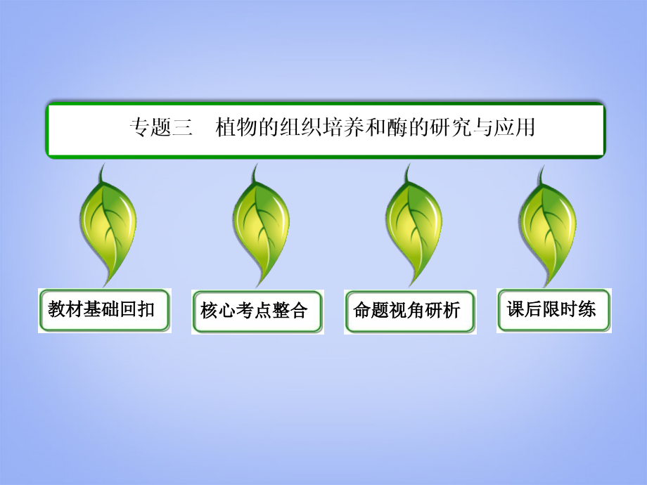 2014届高考生物一轮复习 （基础回扣+考点整合+命题研析+课内外训练） 专题三 植物的组织培养和酶的研究与应用课件（含详解）新人教版选修1_第2页