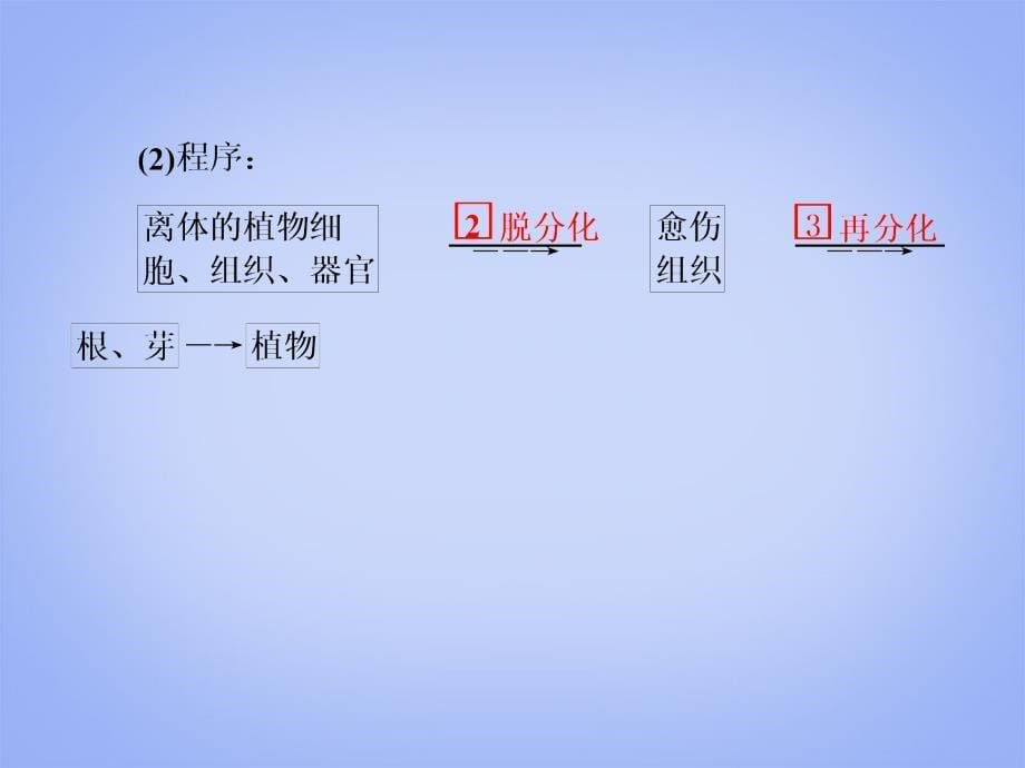 2014届高考生物一轮复习 （基础回扣+考点整合+命题研析+课内外训练） 专题三 植物的组织培养和酶的研究与应用课件（含详解）新人教版选修1_第5页