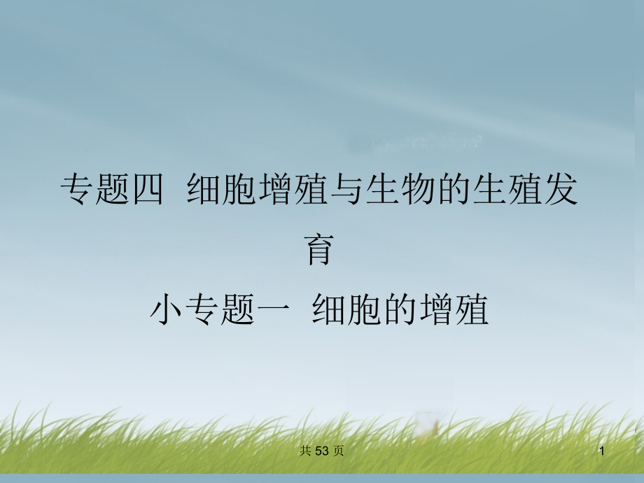 2014届高考生物 第三轮突破小专题一 细胞的增殖课件 新人教版_第1页