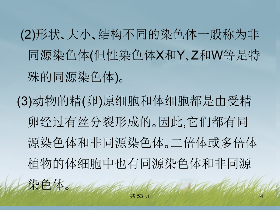 2014届高考生物 第三轮突破小专题一 细胞的增殖课件 新人教版_第4页