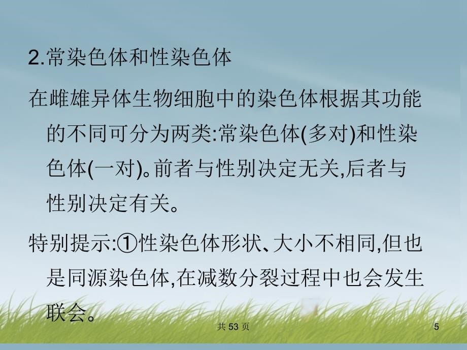 2014届高考生物 第三轮突破小专题一 细胞的增殖课件 新人教版_第5页