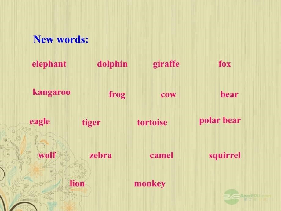 八年级英语上册《unit 4 wild animals》vocabulary课件 牛津译林版_第5页