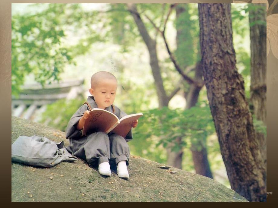 八年级生物上册《动物的行为》课件1 北师大版_第4页