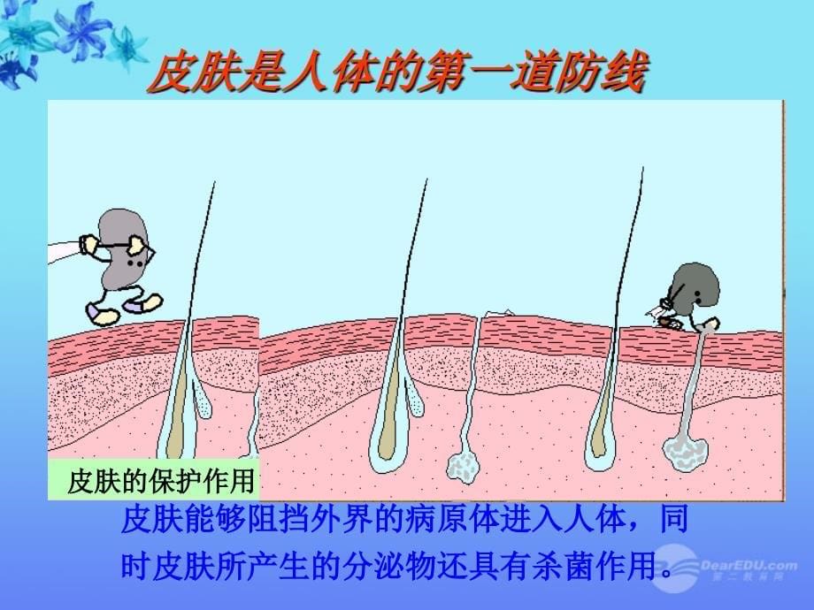 八年级生物上册《免疫》课件2 苏教版_第5页