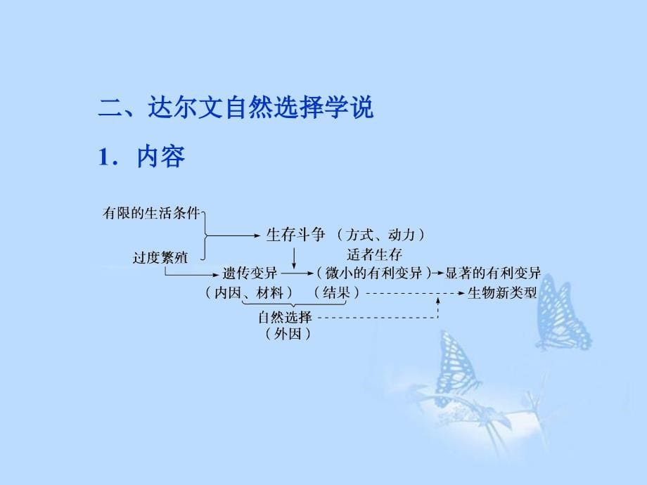 2013届高考生物一轮复习 第七章第1、2节 现代生物进化理论的由来及主要内容课件 新人教版必修2_第5页