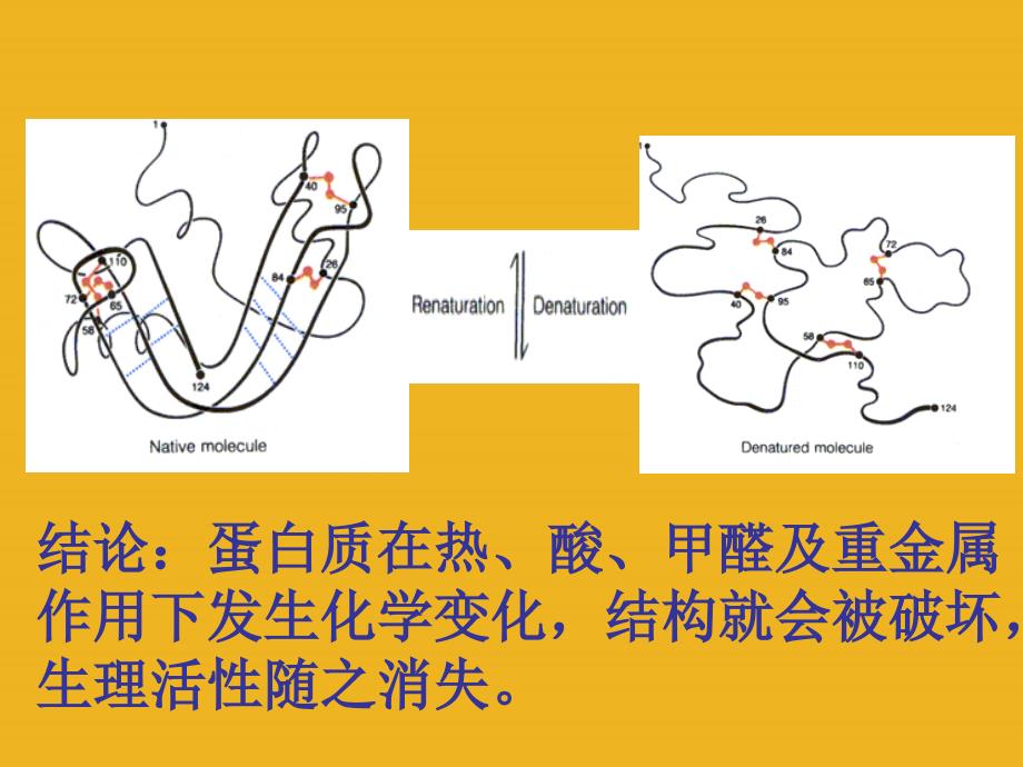 九年级化学 第八单元第三节 远离有毒物质课件课件 鲁教版_第4页