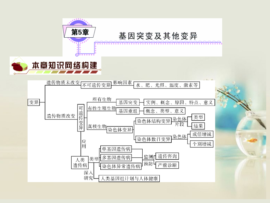 2014高考生物一轮复习（基础知识整理+重难点聚集）第5章 基因突变和基因重组课件 新人教版必修2_第1页