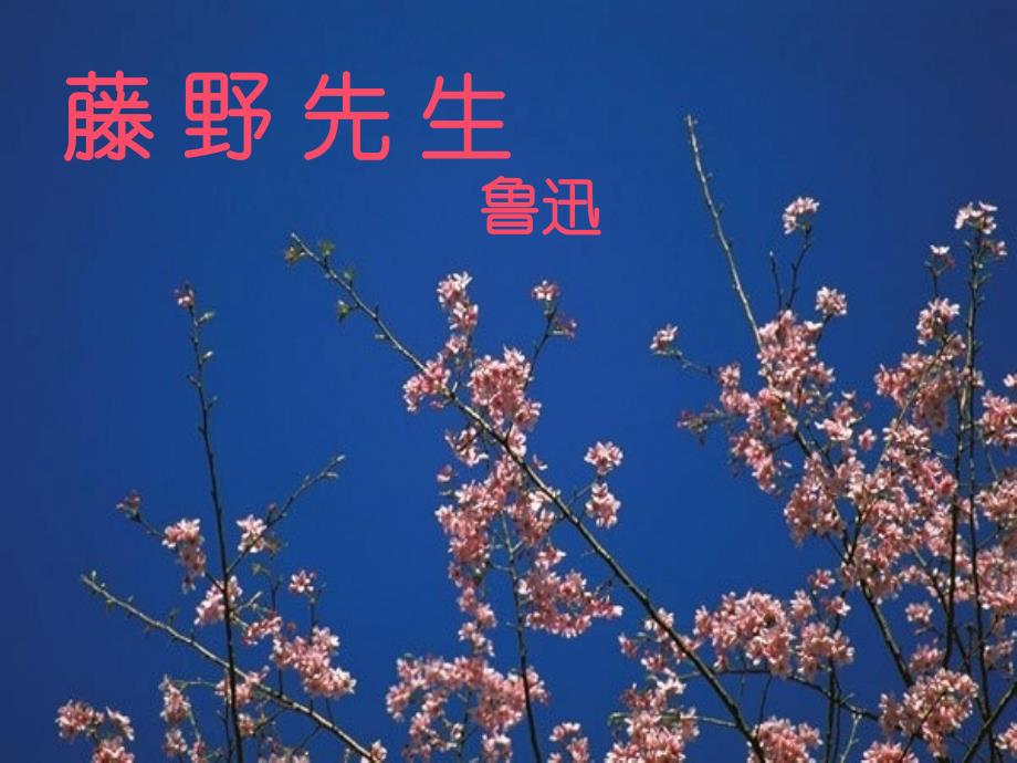 内蒙古巴彦淖尔市磴口县临河四中八年级语文下册 藤野先生课件 新人教版_第1页