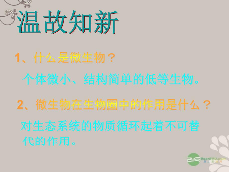 八年级生物上册《微生物与人类的关系》课件1 北师大版_第3页