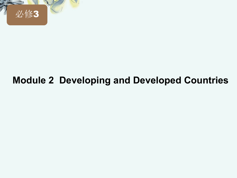 2013高考英语 module 2 developing and developed countries课件 外研版版必修3_第2页