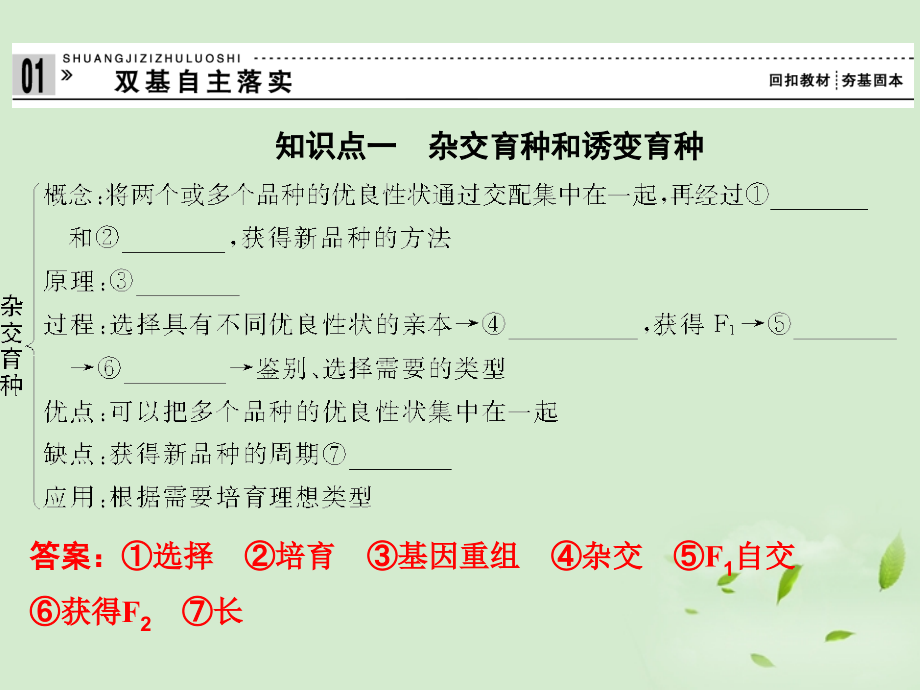 2013高考生物一轮复习资料 第三单元 第3讲从杂交育种到基因工程课件 新人教版必修2_第2页