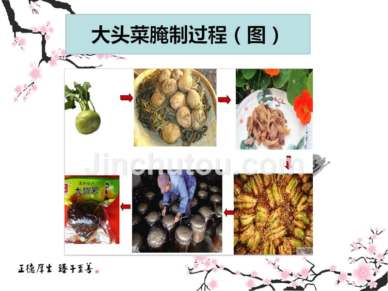 舌尖上的襄阳大头菜ppt_第4页