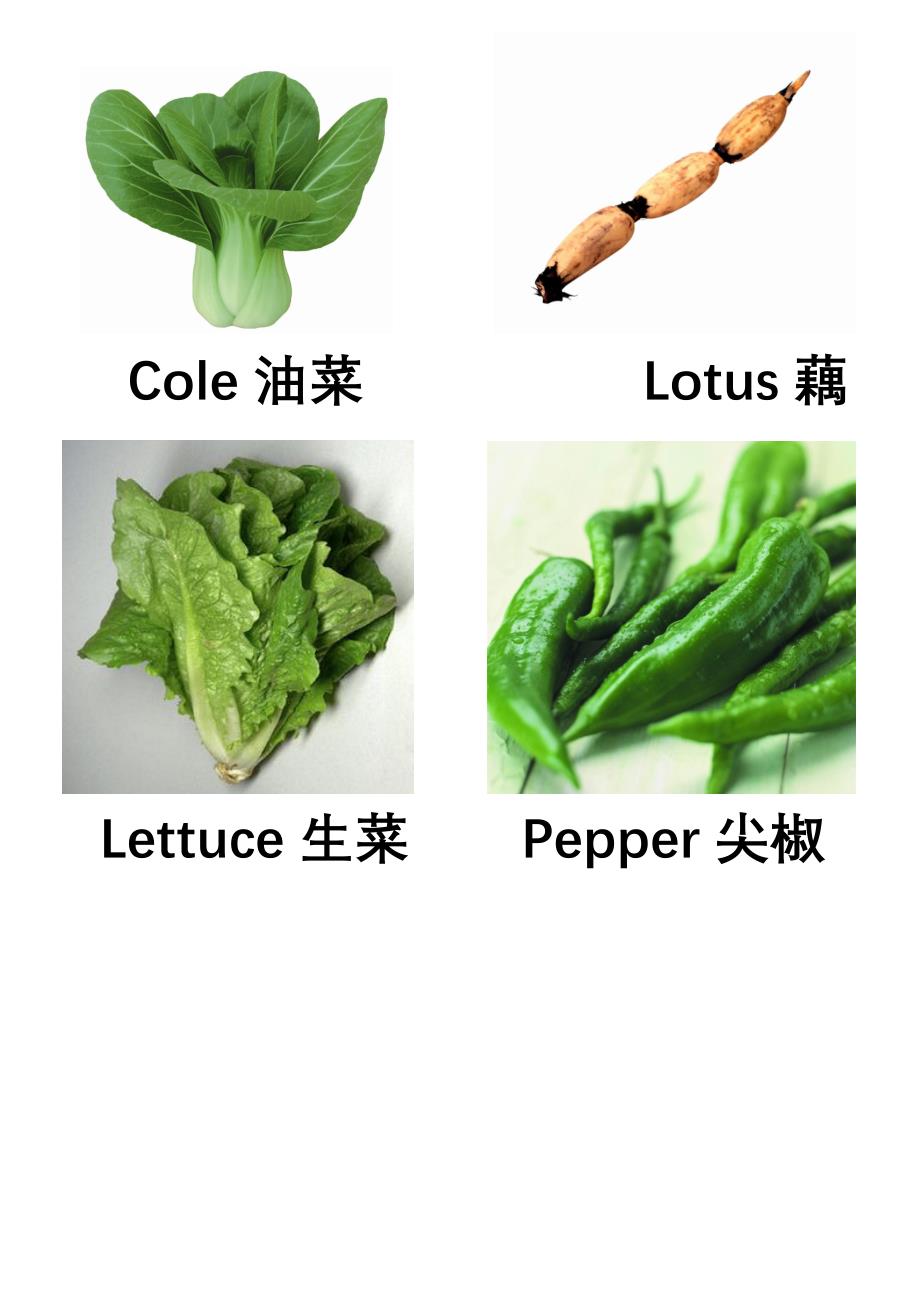 蔬菜图片-中英文标注_第4页