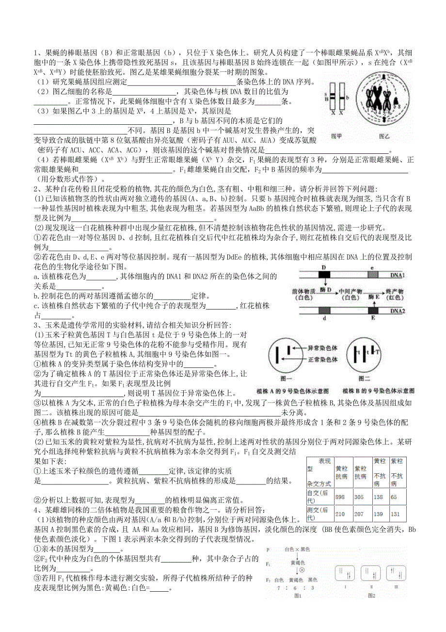 高中生物遗传压轴题_第1页