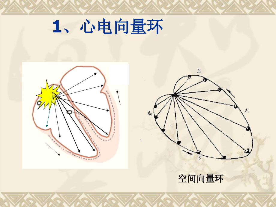 心电图 心电向量详解_第3页