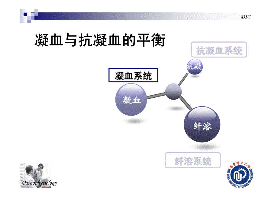 正常凝血-抗凝血-纤溶系统_第4页