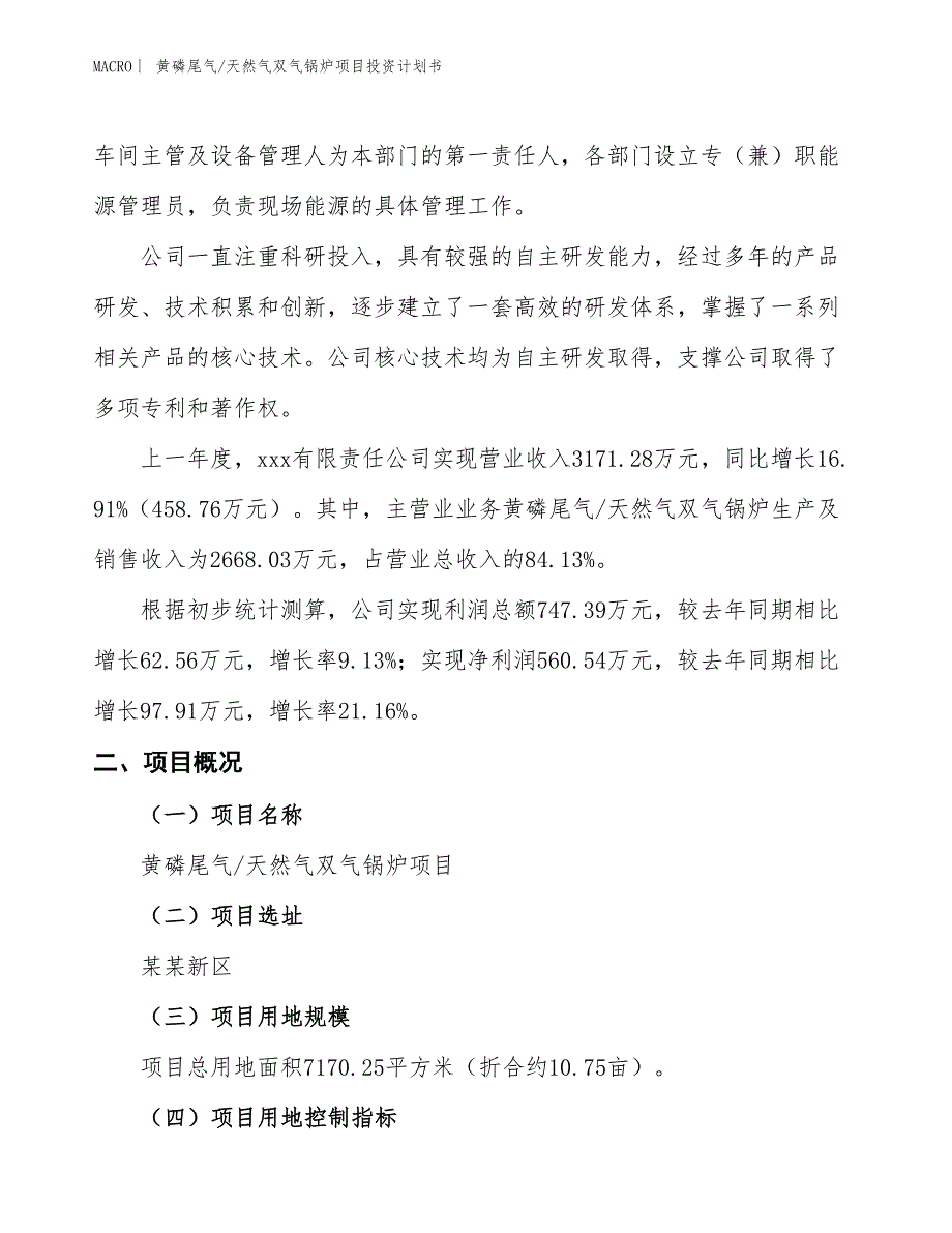 （招商引资报告）黄磷尾气_天然气双气锅炉项目投资计划书_第2页