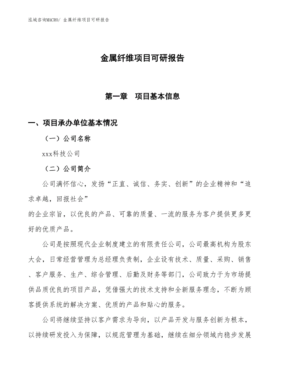 金属纤维项目可研报告_第1页