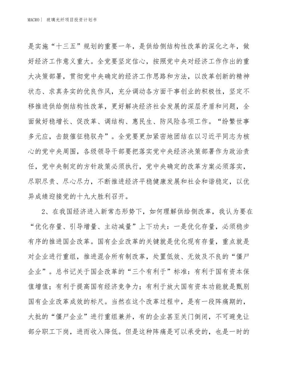 （招商引资报告）玻璃光纤项目投资计划书_第5页