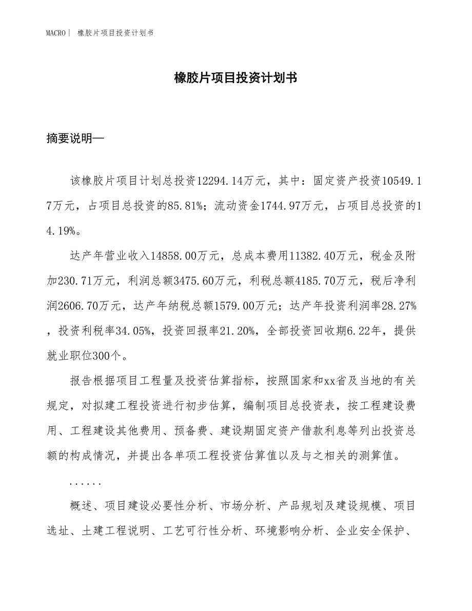 （招商引资报告）橡胶片项目投资计划书_第1页