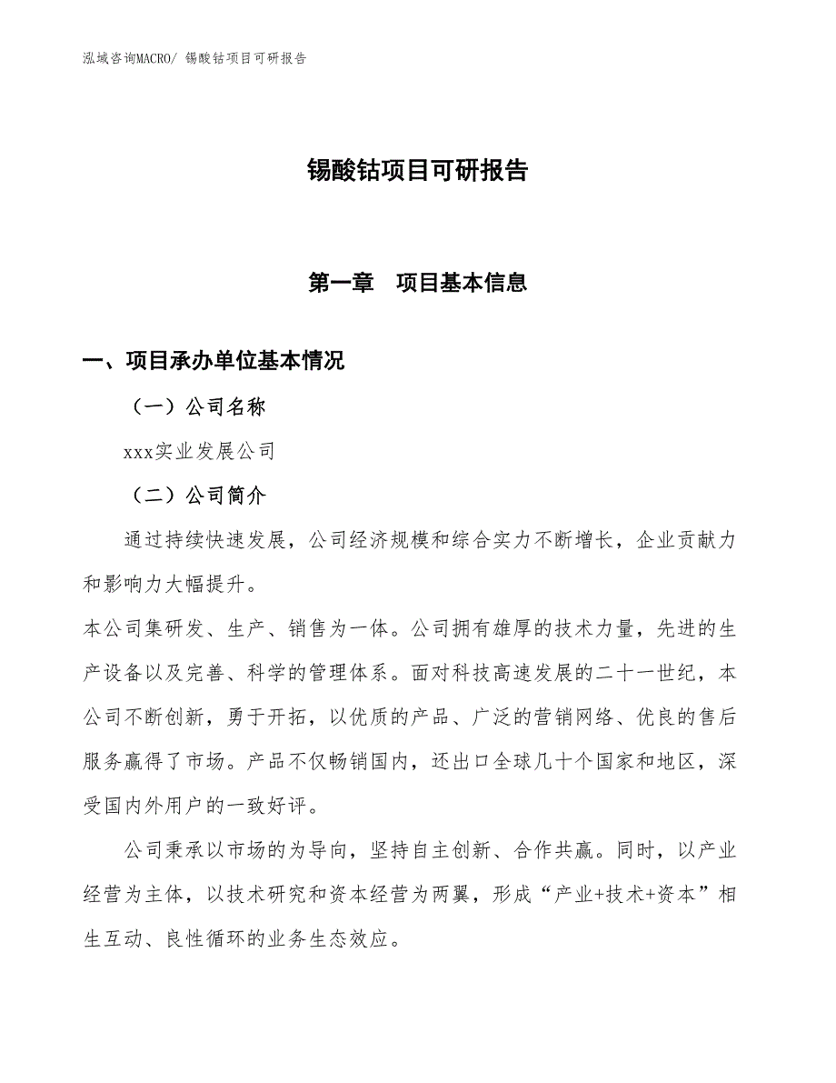 锡酸钴项目可研报告_第1页