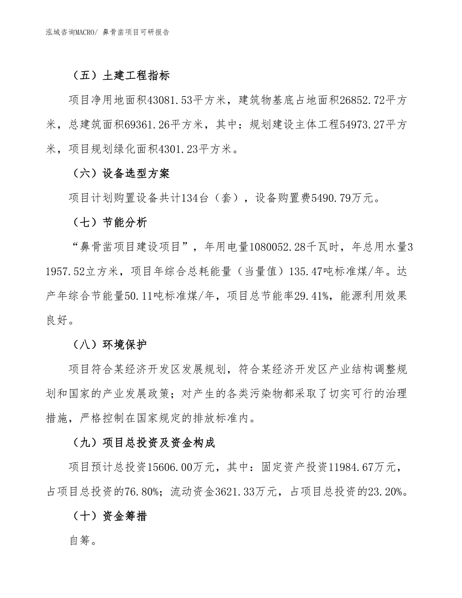 鼻骨凿项目可研报告_第3页