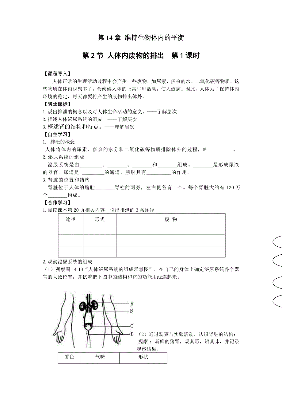 15.2 人体内废物的排除 学案 （苏科版八年级上） (14)_第1页