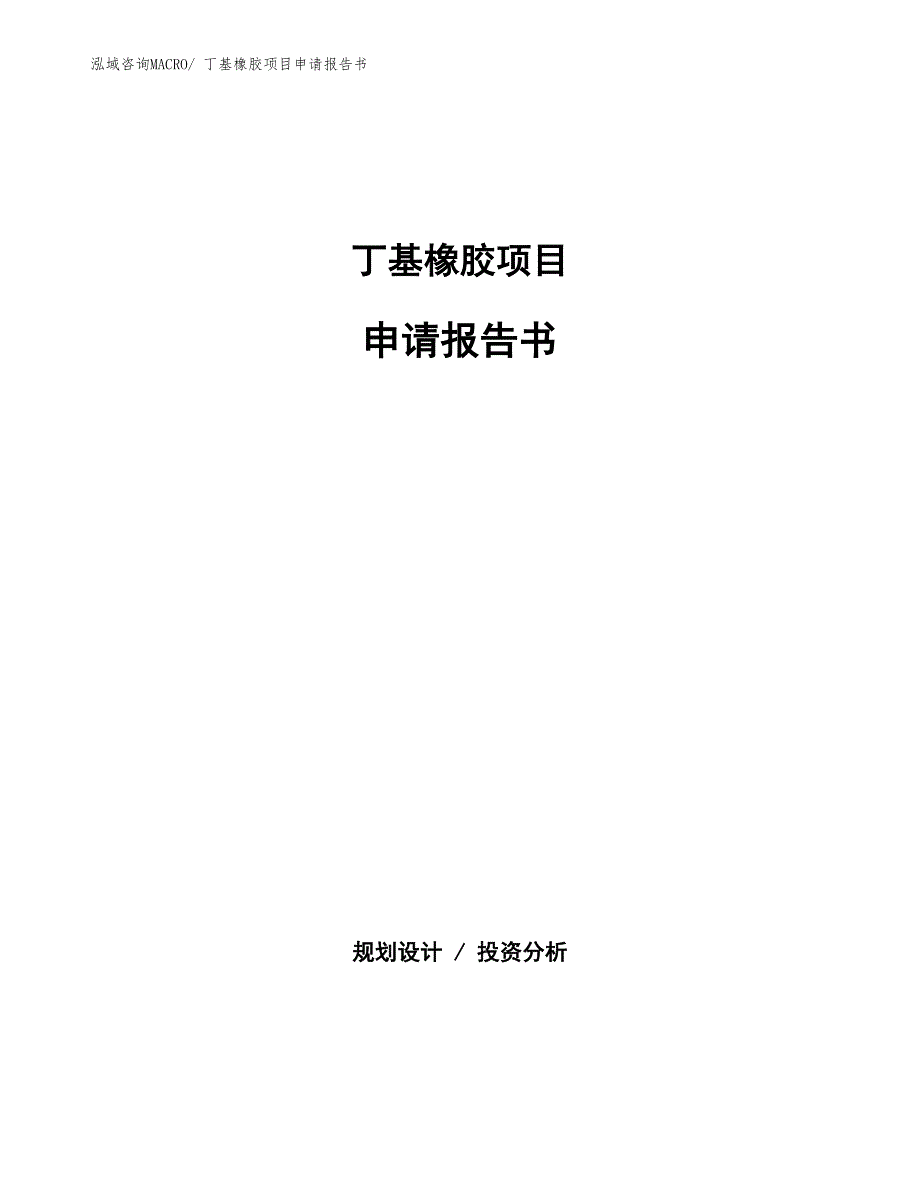 丁基橡胶项目申请报告书_第1页