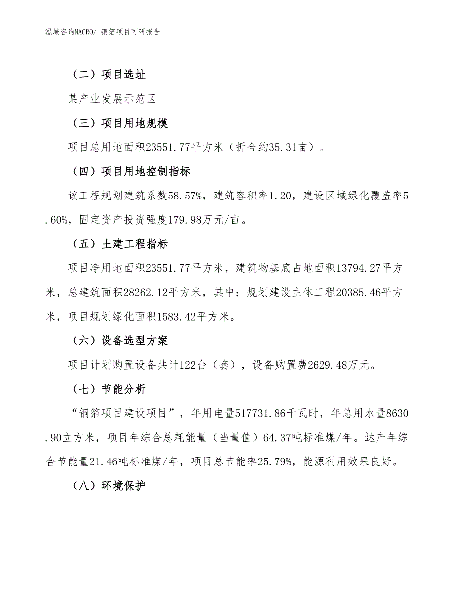 铜箔项目可研报告_第3页