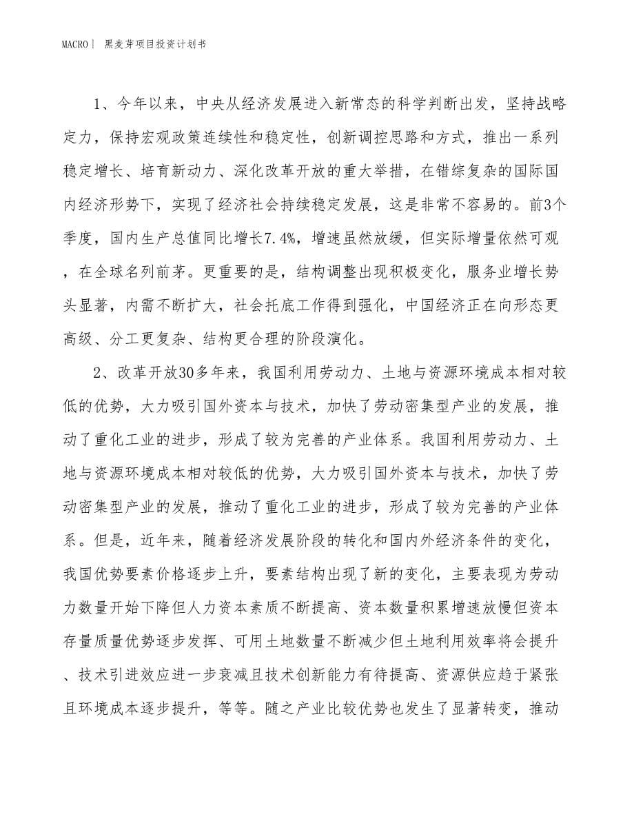 （招商引资报告）黑麦芽项目投资计划书_第5页