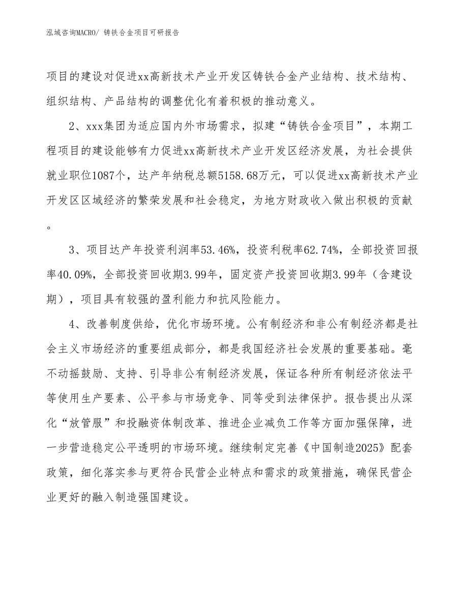 铸铁合金项目可研报告_第5页