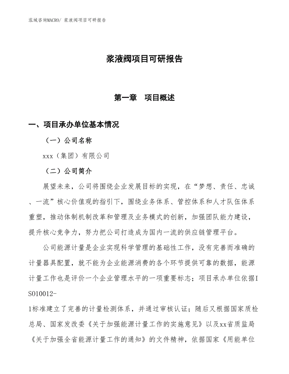 浆液阀项目可研报告_第1页