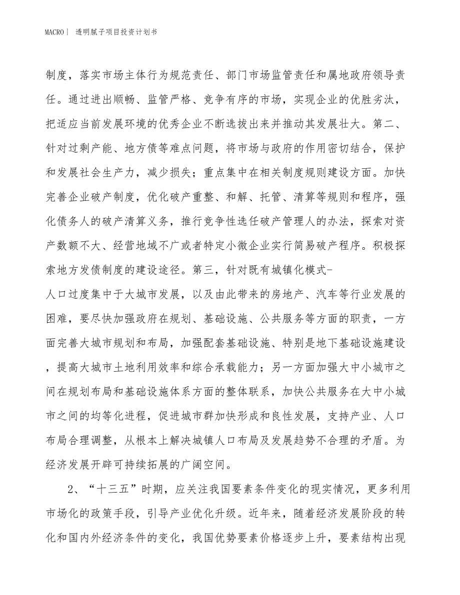 （招商引资报告）透明腻子项目投资计划书_第5页