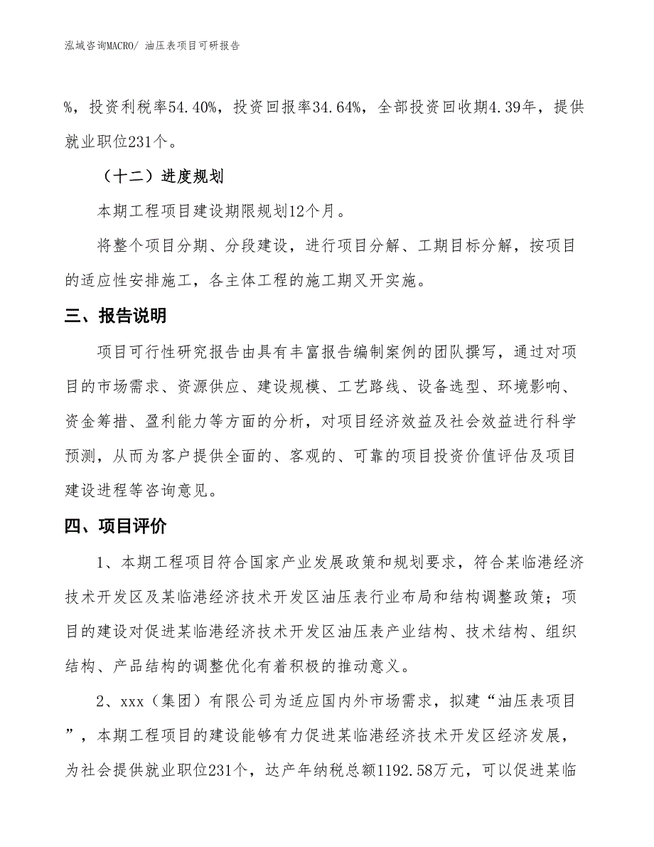 油压表项目可研报告_第4页