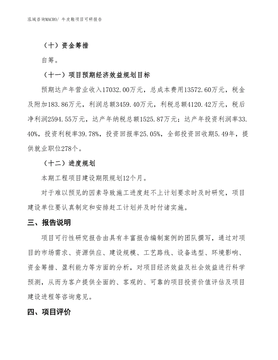 牛皮鞋项目可研报告_第4页