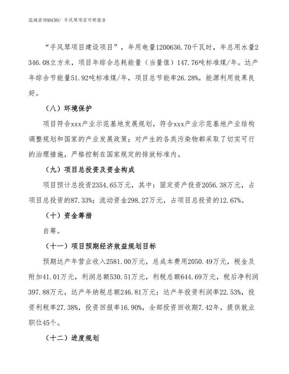 手风琴项目可研报告_第3页