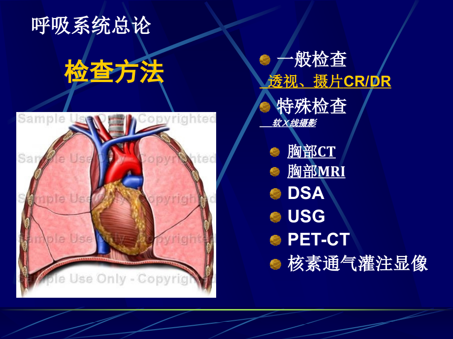 医学影像学呼吸系统授课_第2页