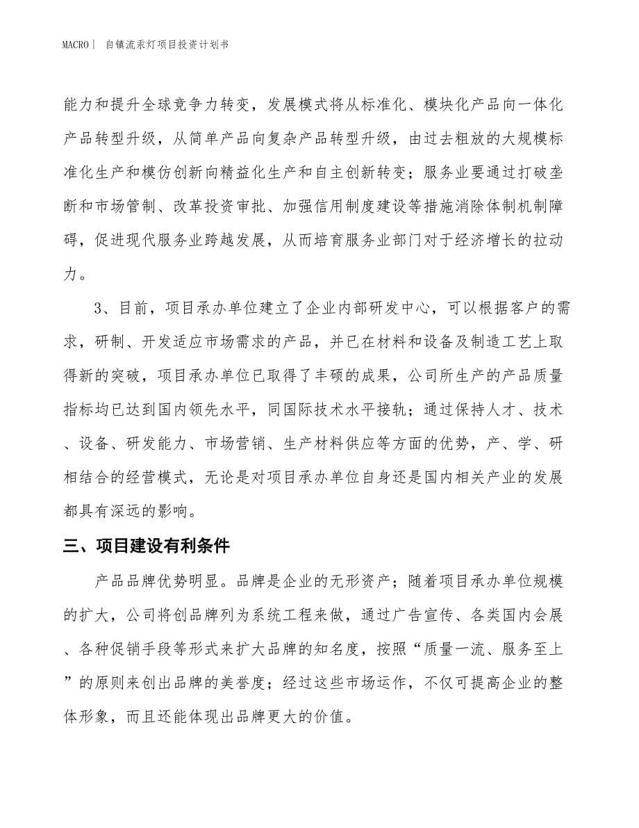 （招商引资报告）自镇流汞灯项目投资计划书_第5页