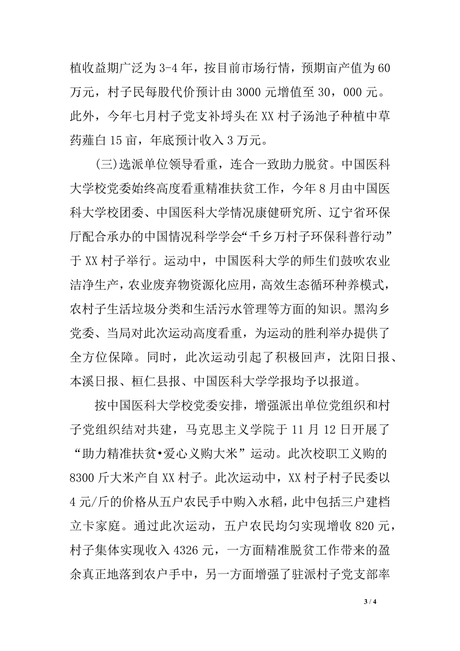 农村子2019年工作总结范文_第3页