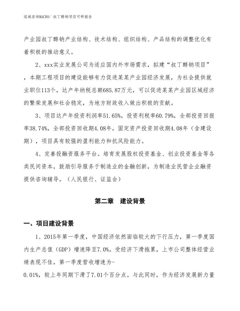 叔丁醇钠项目可研报告_第5页